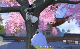 小姐姐打游戏遇到小哥哥,小姐姐与小哥哥的甜蜜游戏之旅